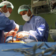 World's First Penis Transplant Has Already Gotten Someone Pregnant